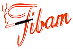 Filtres FIBAM anti goudron et anti nicotine : filtre cigarette plastique
