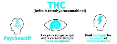 effet cbd fumer, effet cbd avis, les danger du cbd, quels sont les effets du cbd, vente fleur cbd, fleur cbd pas cher, fleurs de chanvre cbd, achat cbd, boutique cbd france, cbd achat