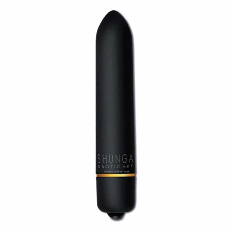 vibromasseur, stimulateur bullet, vibro porno, vibromasseur coquin, vibromasseur vitesse