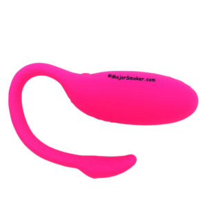 sextoys flamingo, flamingo sextoys, magic motion flamingo sextoys, magic motion sextoys, flamingo sextoy, flamingo sextoys boite, sextoys vaginal, sextoys femme, sextoys connecter, œuf vibrant connecter, sextoys pour femme, sextoys couple, sextoy pas cher, meilleur sextoys, sextoys tendance