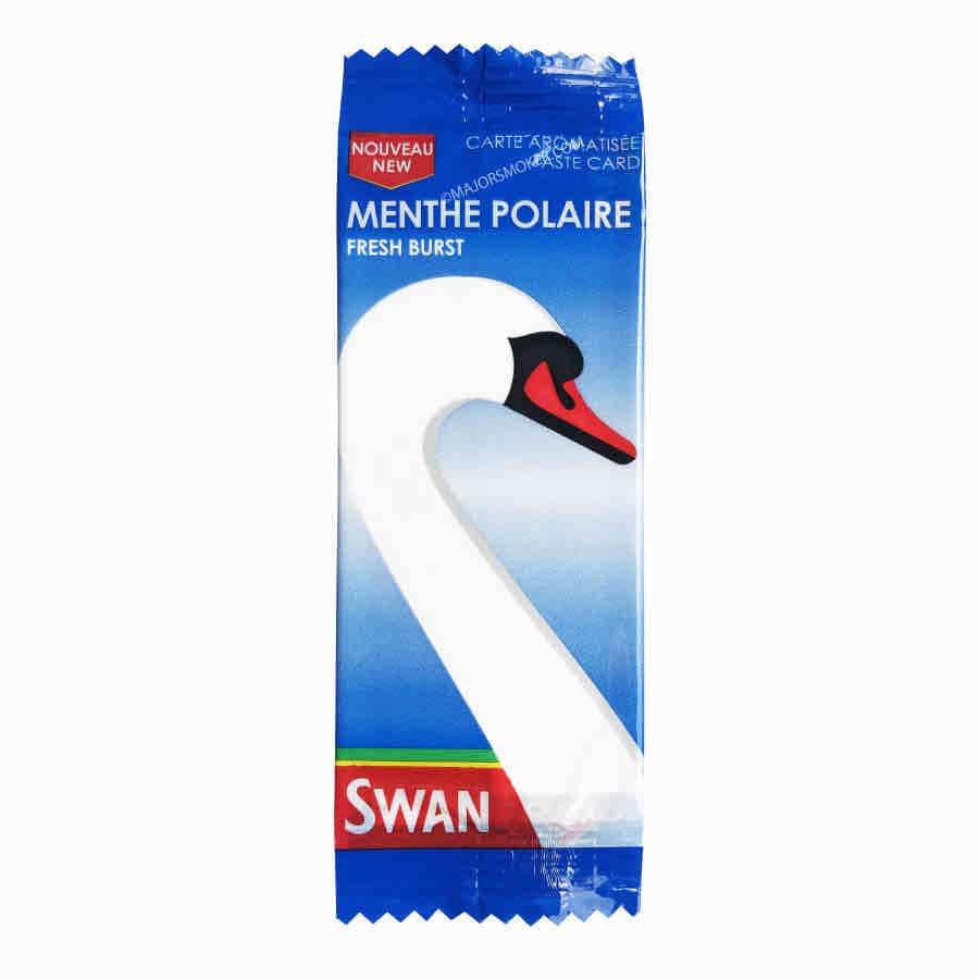 Carte Menthol Polaire Swan x 25  Carte arôme Cigarette - MajorSmoker