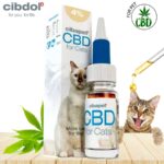 huile cbd chats, huile cbd chat 4% huile cbd, huile cbd chats cibdol, cibdol huile cbd chats, liquide cbd, stayva cbd, cbd bienfaits, cibdol, cibdol avis