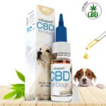 huile cbd chiens, huile de cbd chiens 4%, huile cbd, huile cbd chiens cibdol, cibdol huile cbd, cibdol cbd oil, cibdol full spectrum, cibdol huile, cibdoil, acheter huile cbd cibdol