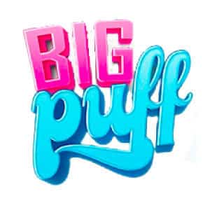 Big Puff Reload | Puff Rechargeable Pod Cartouche