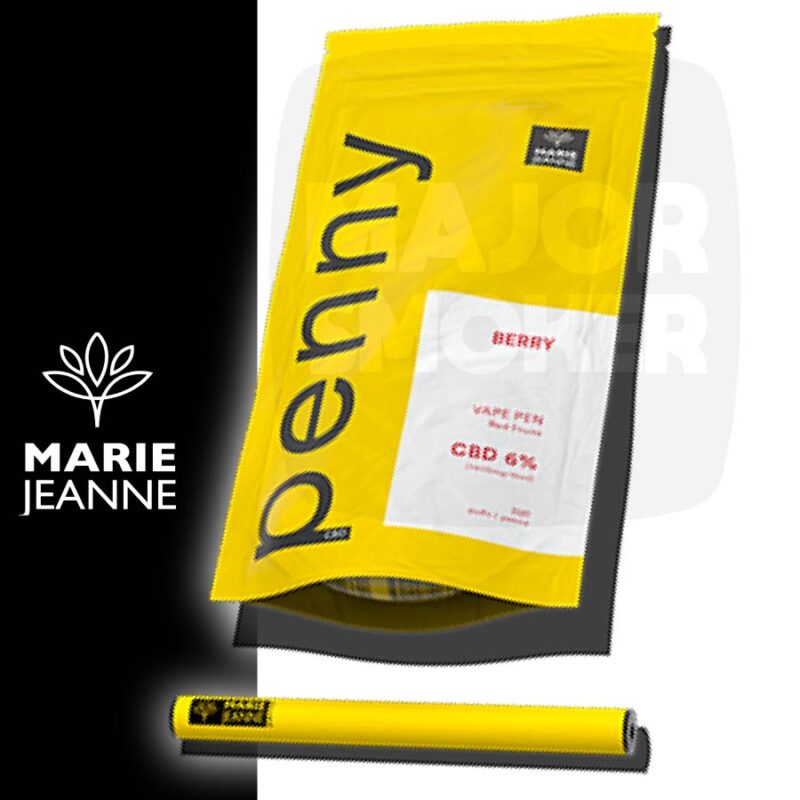 puff penny, cigarette jetable, e cigarette, penny puff, cigarette électronique, puff pas cher, barrel, marie jeanne, penny, puff CBD, penny berry, vape pen