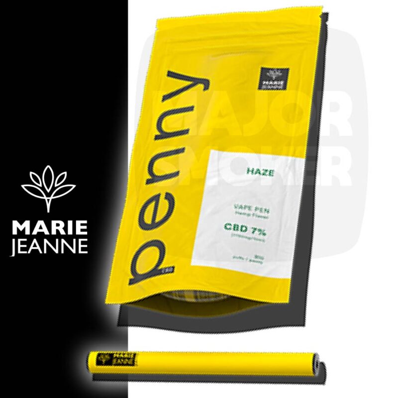 puff penny, cigarette jetable, e cigarette, penny puff, cigarette électronique, puff pas cher, barrel, marie jeanne, penny, puff CBD, puff haze