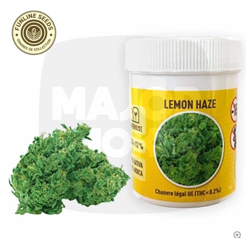 fleurs de cbd, fleur de cbd, fleur de cbd france, fleur de cbd france achat, achat de fleur cbd france, comment consommer la fleur de cbd, fleur de cbd pas cher, fleur de cbd effets, fleur de cbd bienfaits, fleurs de cbd France, cbd, fleurs de chanvre cbd, meilleur fleur de cbd, fleure de cbd, fleurs de cbd funline, fleur de cbd funline seeds, fleur de cbd funline france,