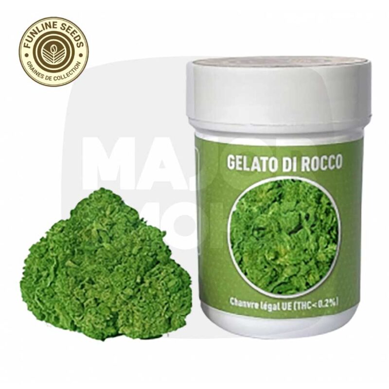 Fleur_CBD_Funline-seeds_Gelato-Di-Rocco.major.com fleurs de cbd, fleur de cbd, fleur de cbd france, fleur de cbd france achat, achat de fleur cbd france, comment consommer la fleur de cbd, fleur de cbd pas cher, fleur de cbd effets, fleur de cbd bienfaits, fleurs de cbd France, cbd, fleurs de chanvre cbd, meilleur fleur de cbd, fleure de cbd, fleurs de cbd funline, fleur de cbd funline seeds, fleur de cbd funline france,