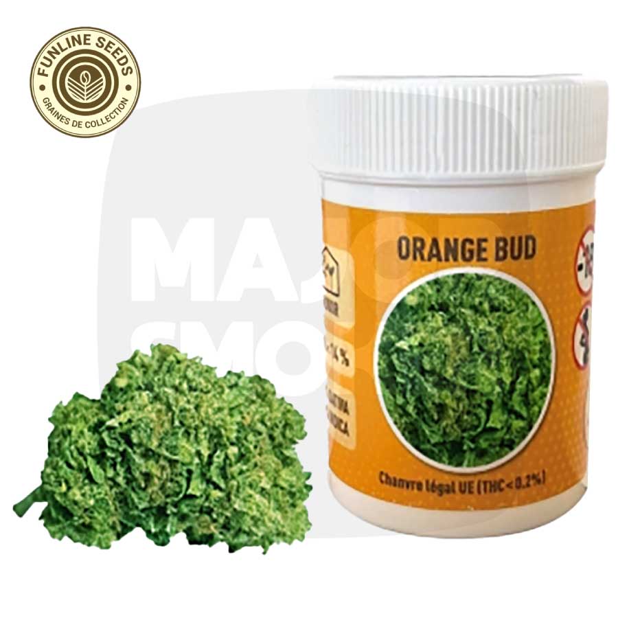 Commandez des cônes pré-roulés d'Orange bud CBD