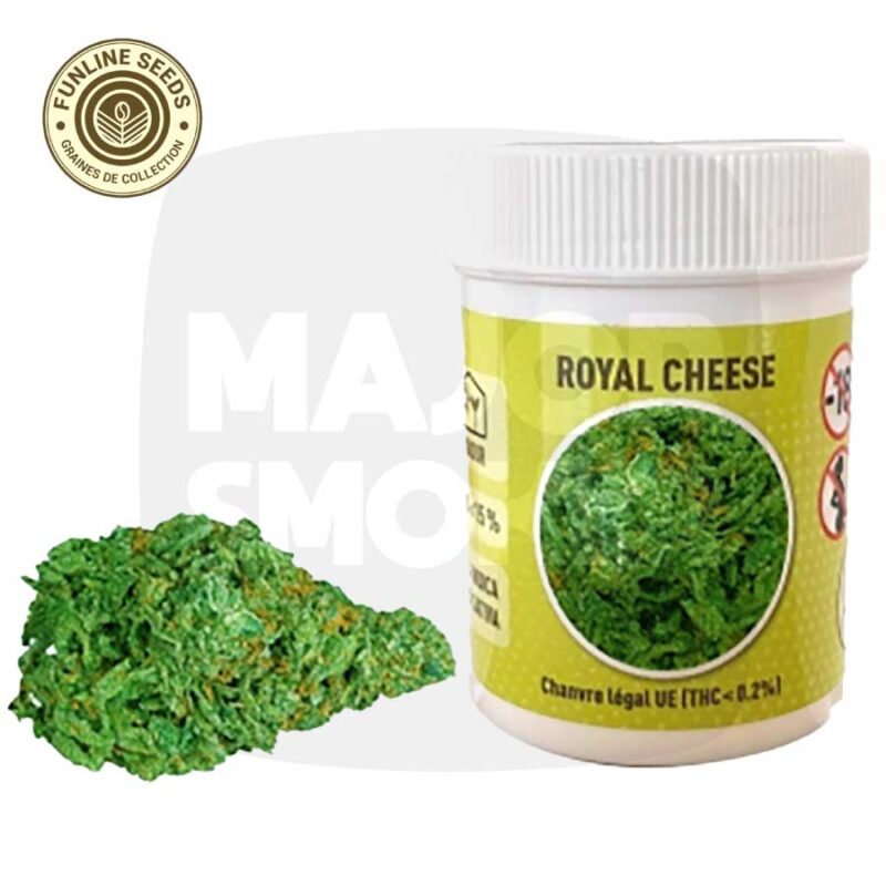 fleurs de cbd, fleur de cbd, fleur de cbd france, fleur de cbd france achat, achat de fleur cbd france, comment consommer la fleur de cbd, fleur de cbd pas cher, fleur de cbd effets, fleur de cbd bienfaits, fleurs de cbd France, cbd, fleurs de chanvre cbd, meilleur fleur de cbd, fleure de cbd, fleurs de cbd funline, fleur de cbd funline seeds, fleur de cbd funline france