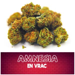 fleur cbd, fleur cbd amnesia, amsia cbd