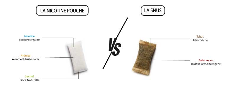 snus, snus sans tabac, snus danger, snus consommation, snus origine, snus drogue, snus utiliser, snus ou acheter, snus nicotine, nicotine pouche, difference snus et nicotine pouches, snus pouches, snus legal france, achat snus france, effets snus, snus effet, danger du snus, snus composition, snus vs nicotine pouche, nicotine pouches, pouches nicotines, nicotine pouch, nicotines pouches, nicotines pouches vs snus, nicotines pouches vs snus différence, achat snus france légal, consommation France snus, utilisation snus, dangers du snus santé, snus effet santé,