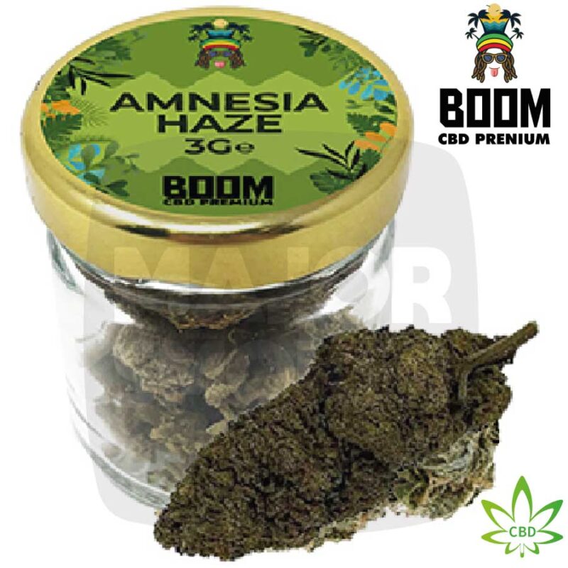 cbd fleur, fleur de cbd, fleurs cbd, fleur cbd, fleurs de cbd, fleurs cbd bio, fleur cbd puissante, cbd fleurs, fleur cbd France, fleur cbd puissante pas cher, fleur cbd boom, cbd boom fleur, cbd boom, cbd fleur boom, fleur cbd amnesia, amnesia cbd fleur, amnesia haze, amnesia haze cbd, fleur de cbd bienfaits, achat fleur cbd, fleur de chanvre cbd,