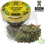 cbd fleur, fleur de cbd, fleurs cbd, fleur cbd, fleurs de cbd, fleurs cbd bio, fleur cbd puissante, cbd fleurs, fleur cbd France, fleur cbd puissante pas cher, fleur cbd boom, cbd boom fleur, cbd boom, cbd fleur boom, fleur cbd amnesia, amnesia cbd fleur, amnesia haze, amnesia haze cbd, fleur de cbd bienfaits, achat fleur cbd, fleur de chanvre cbd,