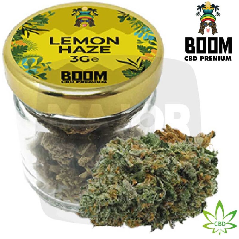Fleur-CBD_Boom_Pot-3gr_Lemon-Haze_majorsmoker.com cbd fleur, fleur de cbd, fleurs cbd, fleur cbd, fleurs de cbd, fleurs cbd bio, fleur cbd puissante, cbd fleurs, fleur cbd France, fleur cbd puissante pas cher, fleur cbd boom, cbd boom fleur, cbd boom, cbd fleur boom, fleur cbd amnesia, amnesia cbd fleur, amnesia haze, amnesia haze cbd, fleur de cbd bienfaits, achat fleur cbd, fleur de chanvre cbd,
