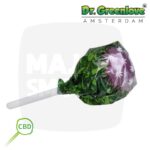 sucette cannabis, sucette au cannabis, sucettes au cannabis, sucette cannabis amsterdam, sucette cannabis effet, sucette cannabis amsterdam effet, sucette gout cannabis, bonbon cbd, bonbons cbd, bonbon au cbd, bonbon cbd effet, sucette cbd, sucette cbd effet, sucette au cbd, cbd sucette,
