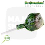 sucette cannabis, sucette au cannabis, sucettes au cannabis, sucette cannabis amsterdam, sucette cannabis effet, sucette cannabis amsterdam effet, sucette gout cannabis, bonbon cbd, bonbons cbd, bonbon au cbd, bonbon cbd effet, sucette cbd, sucette cbd effet, sucette au cbd, cbd sucette,