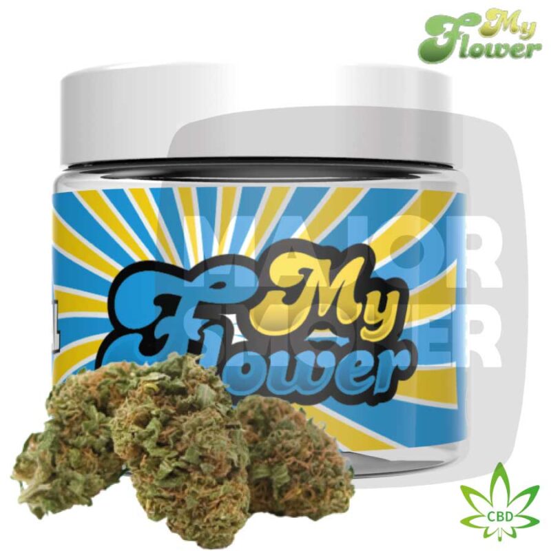 cbd, cbd fleur, fleur cbd, cbd my flower, my flower cbd, fleur de cbd, cbd en fleur, cbd fleur pas cher, cbd fleur prix, cbd fleur achat, cbd fleur france, cbd achat fleur france, fleur de cbd achat, acheter fleur de cbd, 