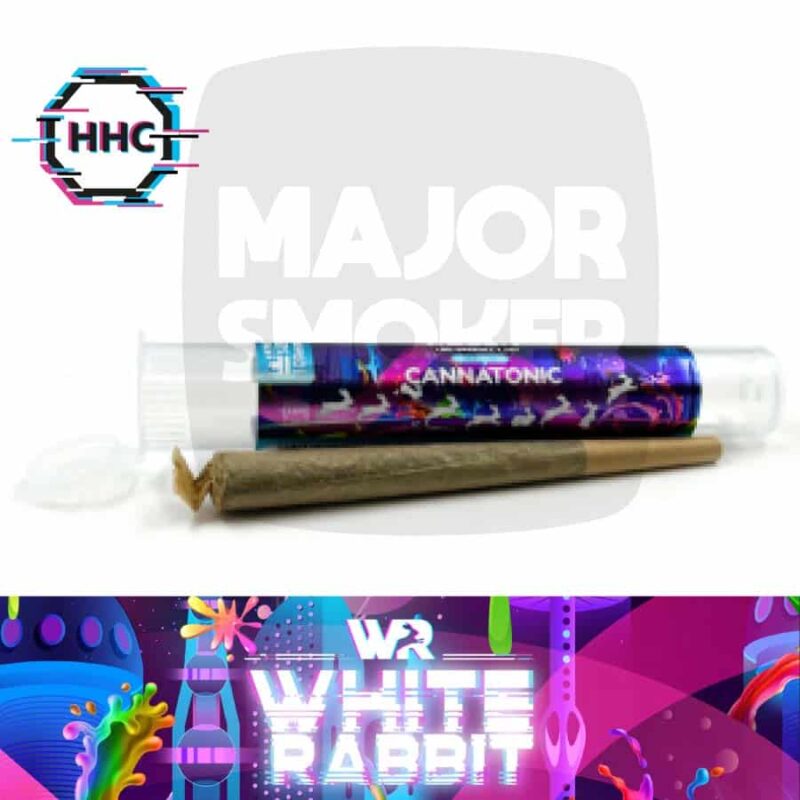 cone, cone pre roule, cone prerouler, cone prerouler, feuille hhc, cone hhc, cone cbd, cone pre roule hhc, hhc cone, hhc cbd cone, hhc feuille, hhc feuille pre roule, cone cbd pre roule, feuille cone, feuille cone hhc, cone hhc feuille, cone pre roule hhc, cone hhc pas cher, cone hhc prix, cone achet France hhc, hhc, hhc legal, hhc achat france,