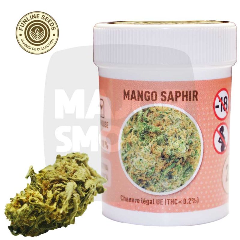 Fleur_CBD_mango-saphir_majorsmoker.com fleurs de cbd, fleur de cbd, fleur de cbd france, fleur de cbd france achat, achat de fleur cbd france, comment consommer la fleur de cbd, fleur de cbd pas cher, fleur de cbd effets, fleur de cbd bienfaits, fleurs de cbd France, cbd, fleurs de chanvre cbd, meilleur fleur de cbd, fleure de cbd, fleurs de cbd funline, fleur de cbd funline seeds, fleur de cbd funline france,