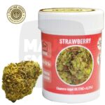 fleurs de cbd, fleur de cbd, fleur de cbd france, fleur de cbd france achat, achat de fleur cbd france, comment consommer la fleur de cbd, fleur de cbd pas cher, fleur de cbd effets, fleur de cbd bienfaits, fleurs de cbd France, cbd, fleurs de chanvre cbd, meilleur fleur de cbd, fleure de cbd, fleurs de cbd funline, fleur de cbd funline seeds, fleur de cbd funline france,