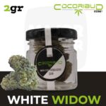 fleurs de cbd, fleur de cbd, fleur de cbd france, fleur de cbd france achat, achat de fleur cbd france, comment consommer la fleur de cbd, fleur de cbd pas cher, fleur de cbd effets, fleur de cbd bienfaits, fleurs de cbd France, cbd, fleurs de chanvre cbd, meilleur fleur de cbd, fleure de cbd, fleurs de cbd cocorikushe, fleur de cbd cocorikush, fleur de cbd cocorikush france,