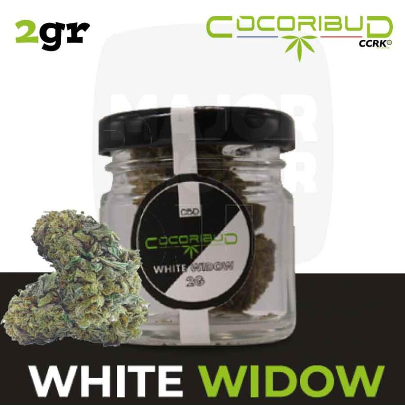 Fleur-CBD-white-widow-2gr-_-Cocorikush-majorsmoker.com fleurs de cbd, fleur de cbd, fleur de cbd france, fleur de cbd france achat, achat de fleur cbd france, comment consommer la fleur de cbd, fleur de cbd pas cher, fleur de cbd effets, fleur de cbd bienfaits, fleurs de cbd France, cbd, fleurs de chanvre cbd, meilleur fleur de cbd, fleure de cbd, fleurs de cbd cocorikushe, fleur de cbd cocorikush, fleur de cbd cocorikush france,