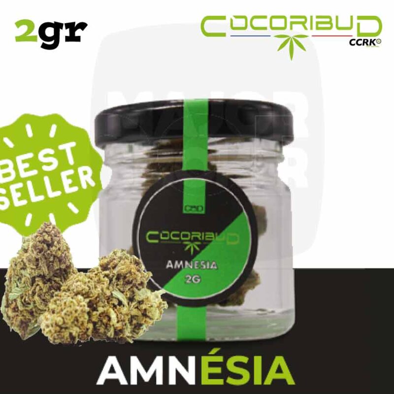 Fleur-amnesia-2gr-_-Cocorikush-majorsmoker.com fleurs de cbd, fleur de cbd, fleur de cbd france, fleur de cbd france achat, achat de fleur cbd france, comment consommer la fleur de cbd, fleur de cbd pas cher, fleur de cbd effets, fleur de cbd bienfaits, fleurs de cbd France, cbd, fleurs de chanvre cbd, meilleur fleur de cbd, fleure de cbd, fleurs de cbd cocorikushe, fleur de cbd cocorikush, fleur de cbd cocorikush france,