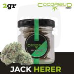 Fleur-jack-herer-2gr-_-Cocorikush-majorsmoker.com fleurs de cbd, fleur de cbd, fleur de cbd france, fleur de cbd france achat, achat de fleur cbd france, comment consommer la fleur de cbd, fleur de cbd pas cher, fleur de cbd effets, fleur de cbd bienfaits, fleurs de cbd France, cbd, fleurs de chanvre cbd, meilleur fleur de cbd, fleure de cbd, fleurs de cbd cocorikushe, fleur de cbd cocorikush, fleur de cbd cocorikush france,