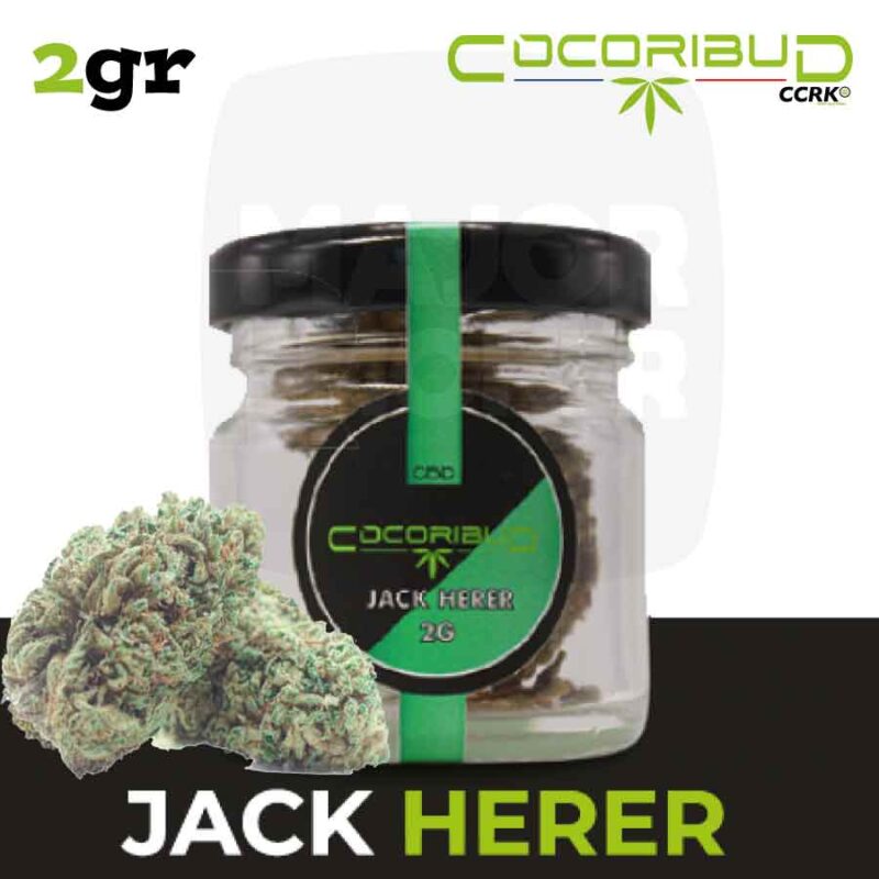 Fleur-jack-herer-2gr-_-Cocorikush-majorsmoker.com fleurs de cbd, fleur de cbd, fleur de cbd france, fleur de cbd france achat, achat de fleur cbd france, comment consommer la fleur de cbd, fleur de cbd pas cher, fleur de cbd effets, fleur de cbd bienfaits, fleurs de cbd France, cbd, fleurs de chanvre cbd, meilleur fleur de cbd, fleure de cbd, fleurs de cbd cocorikushe, fleur de cbd cocorikush, fleur de cbd cocorikush france,