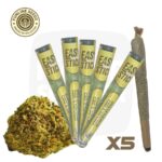 cône cbd, feuille cbd, cbd feuille, cone pre rouler cbd, cone pre rouler, pre rouler, cones pre rouler, feuille pré roulé, feuille pre rouler, cone pré roulé, feuille deja rouler, cone pre roule, cone pre roule, cone prerouler, cone prerouler cbd, feuille au cbd, feuille de cbd, cbd feuille, cbd cone prerouler, cone prerouler au cbd, cbd deja rouler, pré roulé cbd, cones pré-roulés, cone a rouler, feuille tabac prix, à rouler cbd, à rouler, cone deja rouler, prix paquet de feuilles, prix feuille, paquet de feuille prix, cône pré roulé tabac, cône pré-roulé au cbd, cbd easy stick, easy stick cône, easy stick cone de cbd, cone de cbd easy stick, stick de cbd feuille, stick de cbd à infuser, pré roulé cbd, cone rouler, cone rouler cbd, boom cbd premium, cone cbd easy stick, cbd pre rouler, cone pre rouler cbd, pre roulé cbd, rouler du cbd, pre rolls cbd, prerolls cbd, pre rolled cbd,