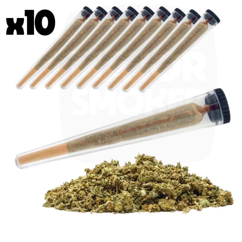 cône cbd, feuille cbd, cbd feuille, cone pre rouler cbd, cone pre rouler, pre rouler, cones pre rouler, feuille pré roulé, feuille pre rouler, cone pré roulé, feuille deja rouler, cone pre roule, cone pre roule, cone prerouler, cone prerouler cbd, feuille au cbd, feuille de cbd, cbd feuille, cbd cone prerouler, cone prerouler au cbd