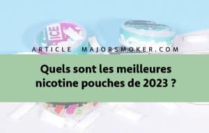 Quels sont les meilleurs nicotine pouches 2023 ?