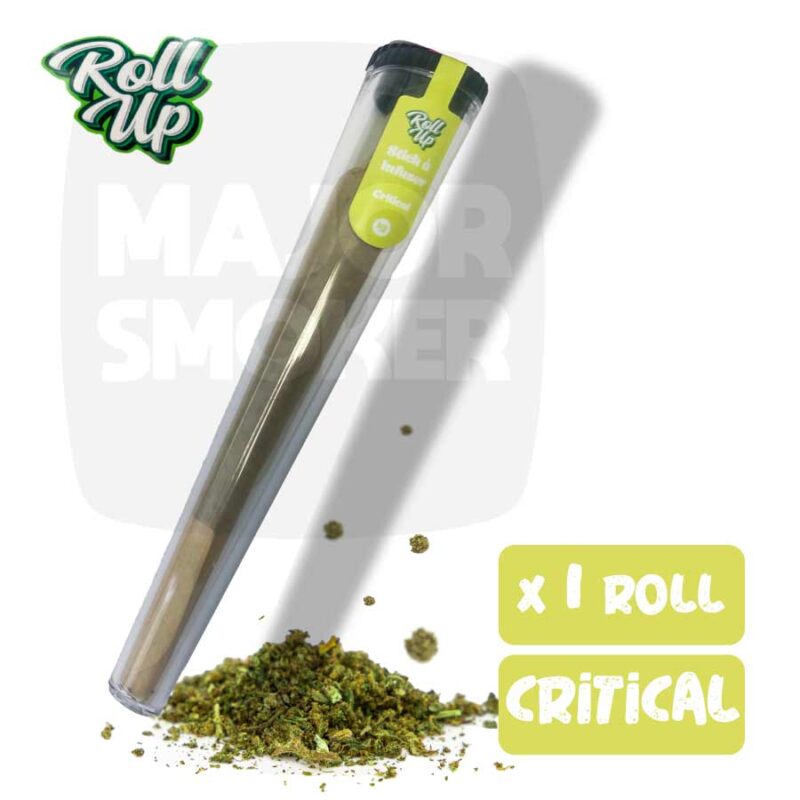 cône cbd, feuille cbd, cbd feuille, cone pre rouler cbd, cone pre rouler, pre rouler, cones pre rouler, feuille pré roulé, feuille pre rouler, cone pré roulé, feuille deja rouler, cone pre roule, cone pre roule, cone prerouler, cone prerouler cbd, feuille au cbd, feuille de cbd, cbd feuille, cbd cone prerouler, cone prerouler au cbd