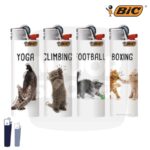 briquet bic collection, briquet maxi bic, briquet mini bic, maxi bic, maxi bic, bic maxi, bic maxi lot,