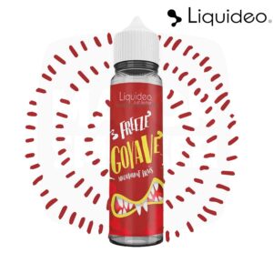 e-liquide France, nicotine, e-liquide pas cher, e-liquide menthol, freeze goyave prix, e-liquide freeze pas cher, e-liquide cbd, e-liquide mentholé, meilleur e-liquide mentholé, e liquide Freeze, freeze goyave