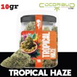 fleurs de cbd, fleur de cbd, fleur de cbd france, fleur de cbd france achat, achat de fleur cbd france, comment consommer la fleur de cbd, fleur de cbd pas cher, fleur de cbd effets, fleur de cbd bienfaits, fleurs de cbd France, cbd, fleurs de chanvre cbd, meilleur fleur de cbd, fleure de cbd, fleurs de cbd cocorikushe, fleur de cbd cocorikush, fleur de cbd cocorikush france,