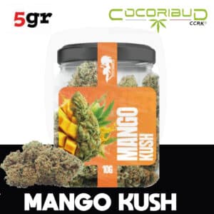 fleurs de cbd, fleur de cbd, fleur de cbd france, fleur de cbd france achat, achat de fleur cbd france, comment consommer la fleur de cbd, fleur de cbd pas cher, fleur de cbd effets, fleur de cbd bienfaits, fleurs de cbd France, cbd, fleurs de chanvre cbd, meilleur fleur de cbd, fleure de cbd, fleurs de cbd cocorikushe, fleur de cbd cocorikush, fleur de cbd cocorikush france,