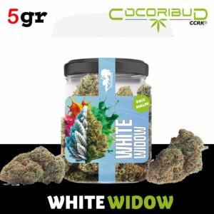 fleurs de cbd, fleur de cbd, fleur de cbd france, fleur de cbd france achat, achat de fleur cbd france, comment consommer la fleur de cbd, fleur de cbd pas cher, fleur de cbd effets, fleur de cbd bienfaits, fleurs de cbd France, cbd, fleurs de chanvre cbd, meilleur fleur de cbd, fleure de cbd, fleurs de cbd cocorikushe, fleur de cbd cocorikush, fleur de cbd cocorikush france,