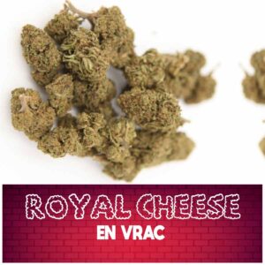 fleur de cbd, cbd, fleur cbd, fleurs cbd, fleurs de cbd, cbd fleur, cbd fleurs, cbd en vrac, fleur cbd pas cher, fleur de cbd en vrac, cbd pas cher, fleur cbd glasshouse, glasshouse cbd, cbd fleur en gros, acheter poches cbd, glass house cbd, cbd royal cheese, royal cheese, royal cheese cbd, royal cheese glasshouse, fleur royal cheese, fleur de cbd royal cheese