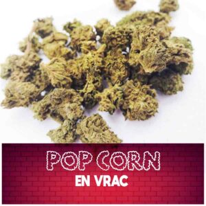 fleur de cbd, cbd, fleur cbd, fleurs cbd, fleurs de cbd, cbd fleur, cbd fleurs, cbd en vrac, fleur cbd pas cher, fleur de cbd en vrac, cbd pas cher, fleur cbd glasshouse, glasshouse cbd, cbd fleur en gros, acheter poches cbd, glass house cbd, cbd pop corn, pop corn cbd, fleur de cbd pop corn, fleur cbd pop corn, pop corn fleur de cbd, pop corn fleur cbd