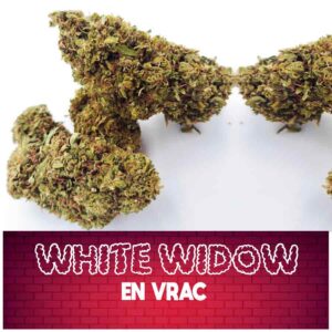 fleur de cbd, cbd, fleur cbd, fleurs cbd, fleurs de cbd, cbd fleur, cbd fleurs, cbd en vrac, fleur cbd pas cher, fleur de cbd en vrac, cbd pas cher, fleur cbd glasshouse, glasshouse cbd, cbd fleur en gros, acheter poches cbd, glass house cbd, Fleur de CBD white widow, white widow, fluer white widow, white widow fleur, cbd white widow white widow cbd