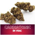 fleur de cbd, cbd, fleur cbd, fleurs cbd, fleurs de cbd, cbd fleur, cbd fleurs, cbd en vrac, fleur cbd pas cher, fleur de cbd en vrac, cbd pas cher, fleur cbd glasshouse, glasshouse cbd, cbd fleur en gros, acheter poches cbd, glass house cbd, greenhouse cbd, cbd greehhouse, fleur de cbd greenhouse