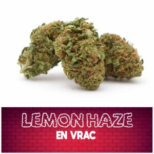 fleur de cbd, cbd, fleur cbd, fleurs cbd, fleurs de cbd, cbd fleur, cbd fleurs, cbd en vrac, fleur cbd pas cher, fleur de cbd en vrac, cbd pas cher, fleur cbd glasshouse, glasshouse cbd, cbd fleur en gros, acheter poches cbd, glass house cbd, Lemon haze, fleur de cbd lemon haze, fleur cbd lemon haze, cbd lemon haze, bcd citron, cbd lemon haze, lemon haze cbd, citron cbd