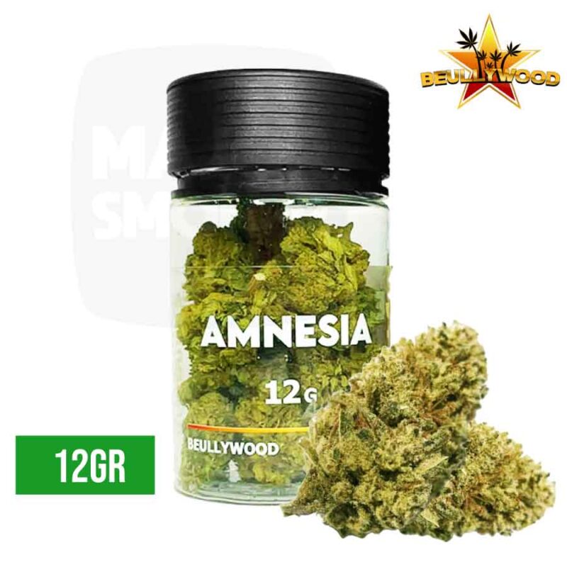 amnesia-beullywood-12gr-cbd-majorsmoker.com fleur cbd, fleur cbd amnesia, cbd amnesia, fleur cbd amnesia, ccrk fleur, fleur cbd pas cher, fleur cbd premium, cbd, cbd france