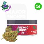 cosmic-buds-fleur-strawberry-kush-5g-Pot-CBD-majorsmoker.com fleur de cbd, fleur cbd, cbd fleur, fleur strawberry kush, fleur cbd strawberry kush, cbd fleur strawberry kush, fleur de cbd strawberry kush, strawberry kush fleur de cbd, strawberry kush fleur cbd
