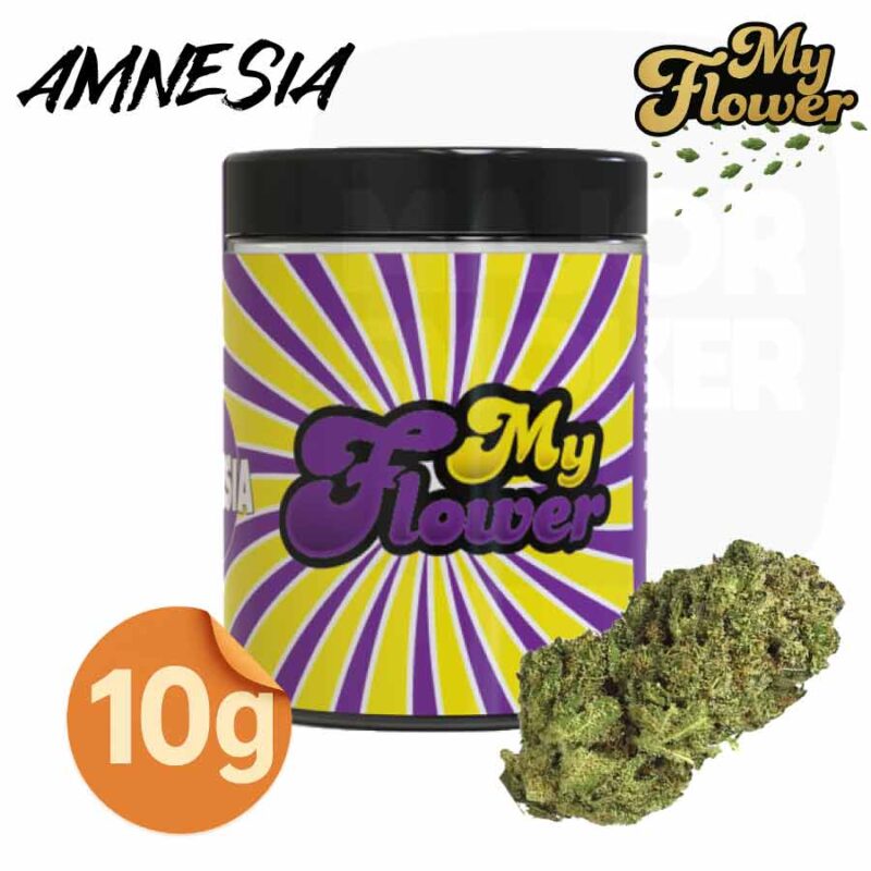 fleur-de-CBD-AMNESIA-POT-My-flower-10-grammes-majorsmoker.com fleur de cbd amnesia, fleurs de cbd amnesia, fleurs de cbd, fleur de cbd, fleur de cbd france, fleur de cbd france achat, achat de fleur cbd france, comment consommer la fleur de cbd, fleur de cbd pas cher, fleur de cbd effets, fleur de cbd bienfaits, fleurs de cbd France, cbd, fleurs de chanvre cbd, meilleur fleur de cbd, fleure de cbd,