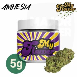 fleur de cbd amnesia, fleurs de cbd amnesia, fleurs de cbd, fleur de cbd, fleur de cbd france, fleur de cbd france achat, achat de fleur cbd france, comment consommer la fleur de cbd, fleur de cbd pas cher, fleur de cbd effets, fleur de cbd bienfaits, fleurs de cbd France, cbd, fleurs de chanvre cbd, meilleur fleur de cbd, fleure de cbd,