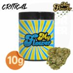 fleur-de-CBD-CRITIAL-POT-My-flower-10-grammes-majorsmoker.com fleur de cbd critical, fleurs de cbd critical, fleurs de cbd, fleur de cbd, fleur de cbd france, fleur de cbd france achat, achat de fleur cbd france, comment consommer la fleur de cbd, fleur de cbd pas cher, fleur de cbd effets, fleur de cbd bienfaits, fleurs de cbd France, cbd, fleurs de chanvre cbd, meilleur fleur de cbd, fleure de cbd,