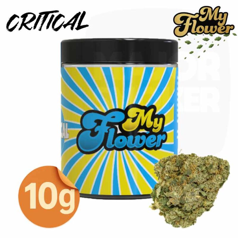 fleur-de-CBD-CRITIAL-POT-My-flower-10-grammes-majorsmoker.com fleur de cbd critical, fleurs de cbd critical, fleurs de cbd, fleur de cbd, fleur de cbd france, fleur de cbd france achat, achat de fleur cbd france, comment consommer la fleur de cbd, fleur de cbd pas cher, fleur de cbd effets, fleur de cbd bienfaits, fleurs de cbd France, cbd, fleurs de chanvre cbd, meilleur fleur de cbd, fleure de cbd,